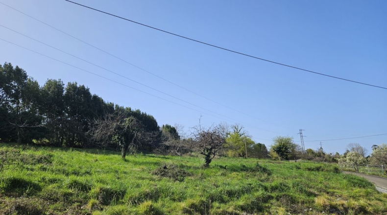 Asturias - Gijón - 1635m2