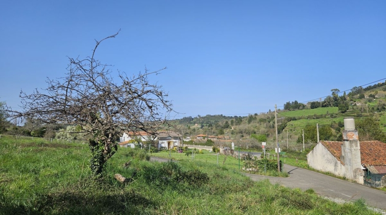Asturias - Gijón - 1635m2
