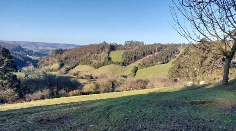 Asturias - Pruvia Riba - 12946m2