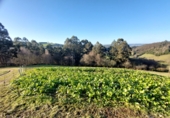 Finca rústica en venda a Soto de Llanera ref.: TR208704 foto