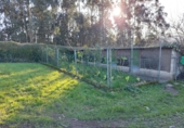 Finca rústica en venda a Soto de Llanera ref.: TR208704 foto