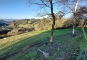 Finca rústica en venda a Soto de Llanera ref.: TR208704 foto