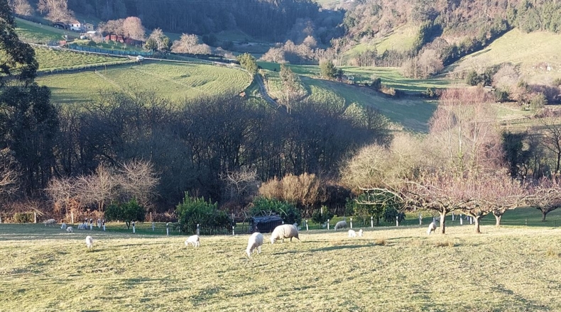 Asturias - Pruvia Riba - 12946m2
