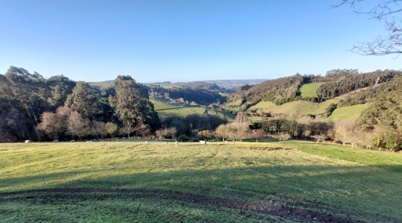 Asturias - Pruvia Riba - 12946m2