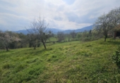 Parcel·la urbanitzable en venda a Nava ref.: TR253424 foto