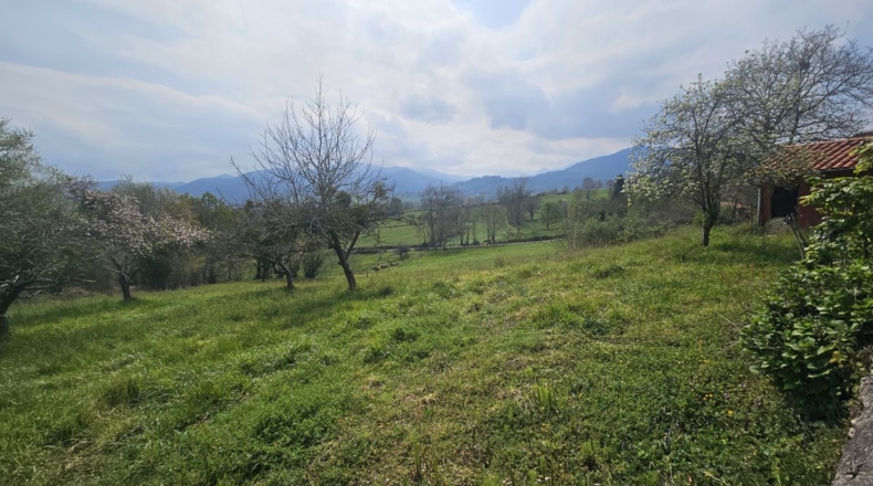 Asturias - L'Aguilera - 3884m2