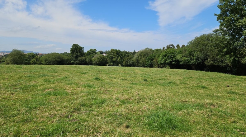 Asturias - Villaviciosa - 2600m2