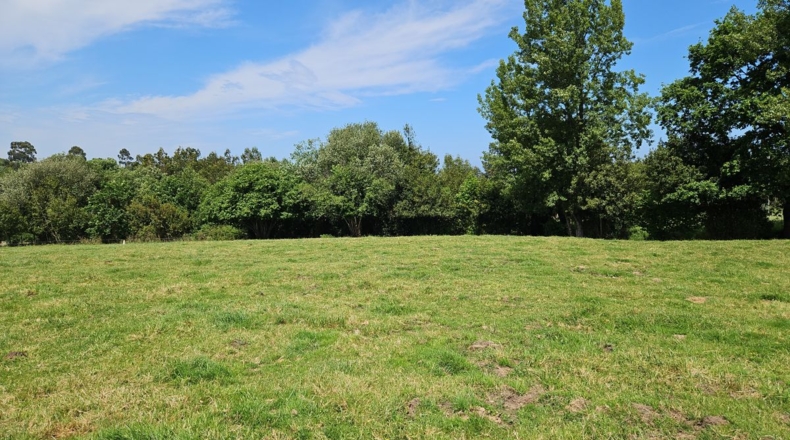 Asturias - Villaviciosa - 2600m2