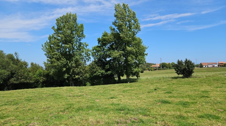 Asturias - Villaviciosa - 2600m2
