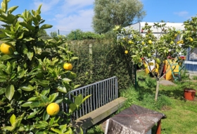 Foto 6