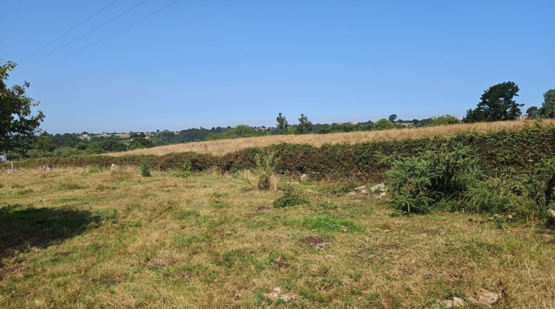 Asturias - Villaviciosa - 2600m2