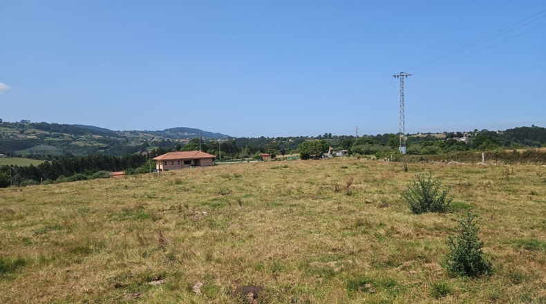 Asturias - Villaviciosa - 2600m2