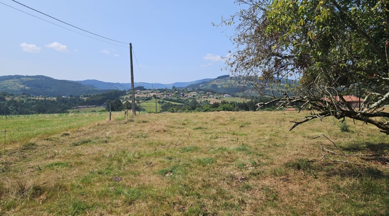 Asturias - Villaviciosa - 2600m2