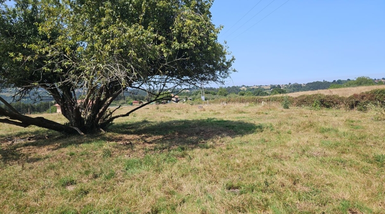 Asturias - Villaviciosa - 2600m2