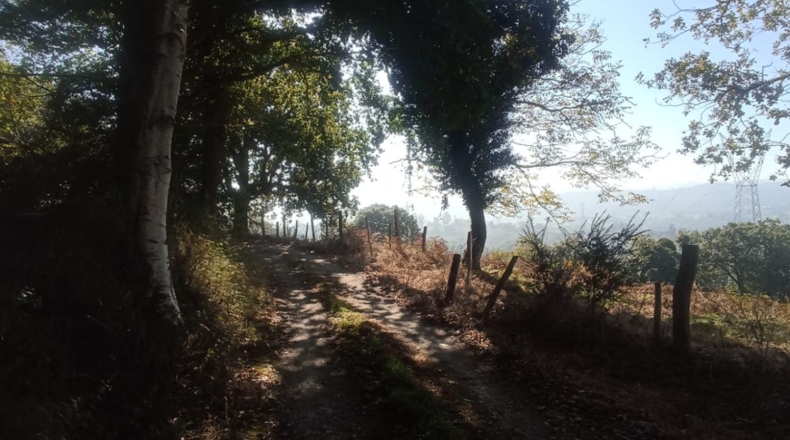 Asturias - El Remediu - 33600m2