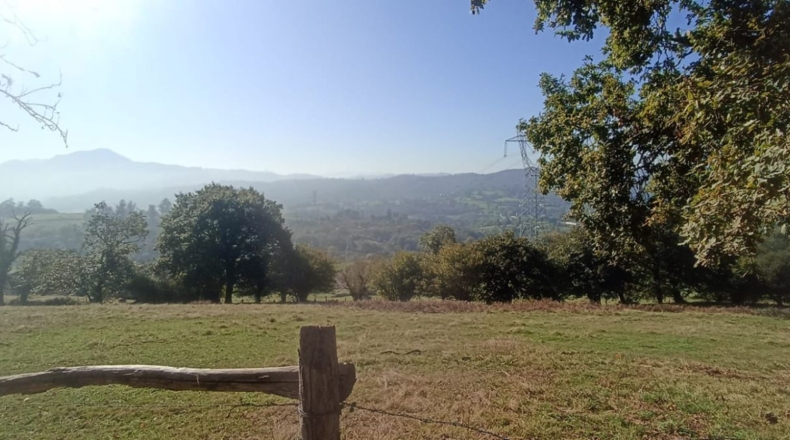 Asturias - El Remediu - 33600m2