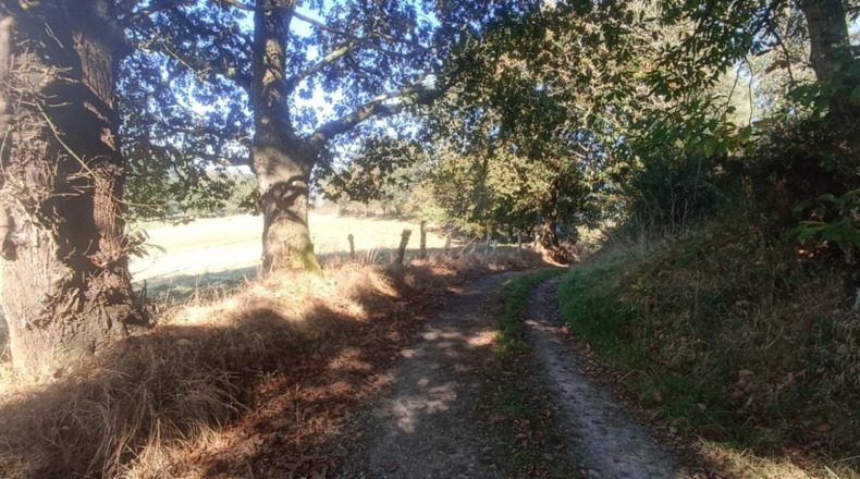 Asturias - El Remediu - 33600m2