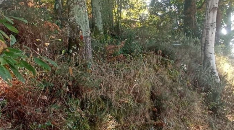 Asturias - El Remediu - 33600m2