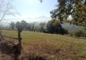 Terreny no urbanitzable en venda a Nava ref.: TR349338 foto