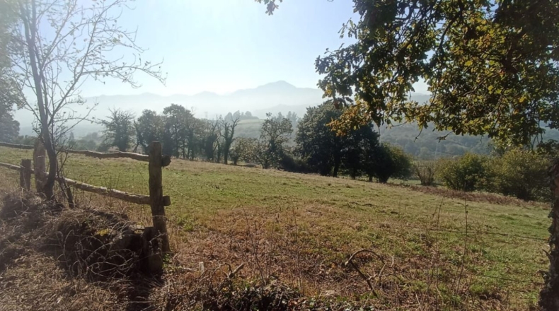 Asturias - El Remediu - 33600m2