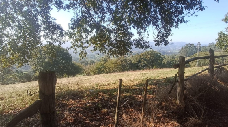 Asturias - El Remediu - 33600m2