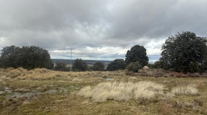 Segòvia - Zarzuela del Monte - 766m2