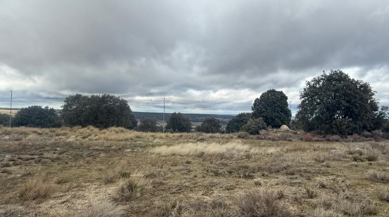 Segòvia - Zarzuela del Monte - 766m2