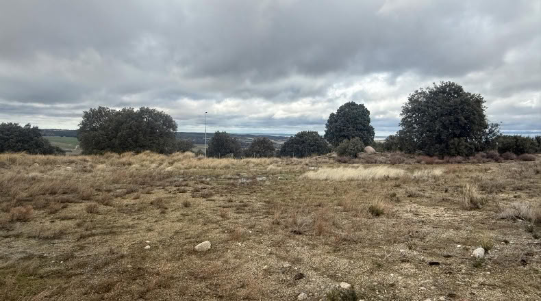 Segòvia - Zarzuela del Monte - 766m2