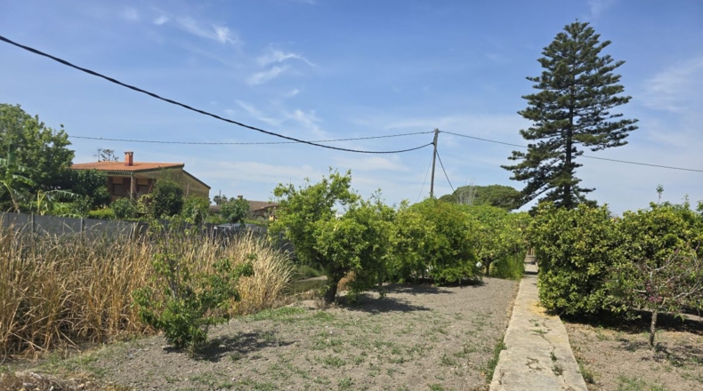 Castellón - Castellón de la Plana - 1627m2