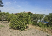 Casa de campo con terreno en venta en Castellón de la Plana ref: TR108779 foto