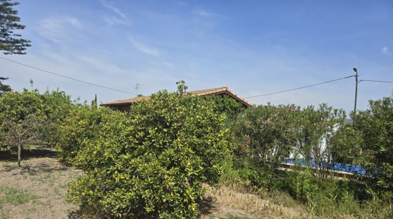 Castellón - Castellón de la Plana - 1627m2