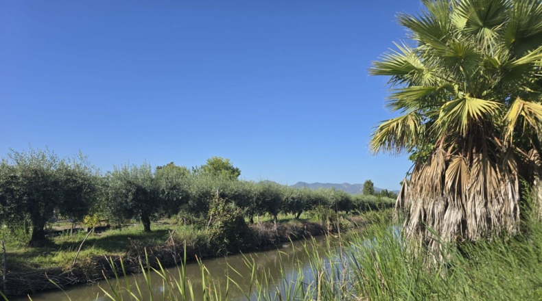 Castellón - Castellón de la Plana - 1208m2