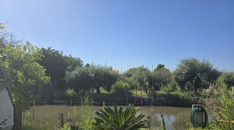 Castellón - Castellón de la Plana - 1208m2