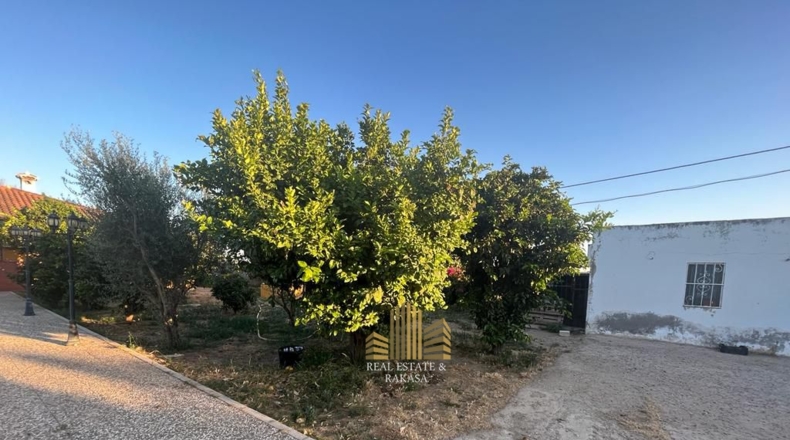 Sevilla - Utrera - 1500m2