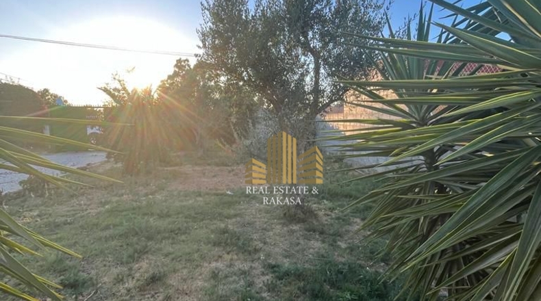 Sevilla - Utrera - 1500m2