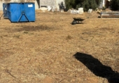 Sòl urbà en venda a Alcalá de Guadaíra ref.: TR253438 foto