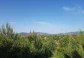 Finca rústica en venta en Lorca ref: TR107860 foto