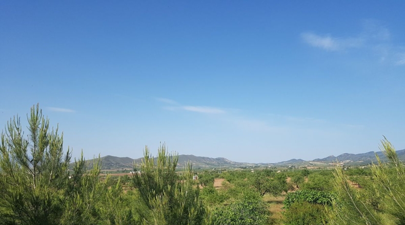 Murcia - Lorca - 18000m2