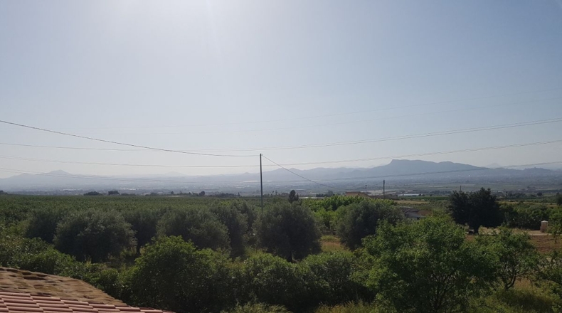 Murcia - Lorca - 18000m2