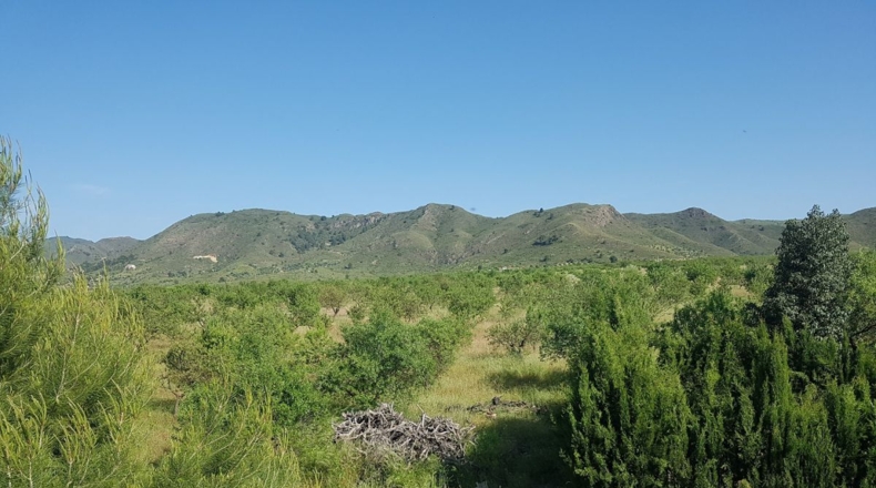 Murcia - Lorca - 18000m2