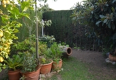 Chalet independiente con terreno en venta en Cambrils ref: TR190143 foto