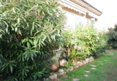 Chalet independiente con terreno en venta en Cambrils ref: TR190143 foto