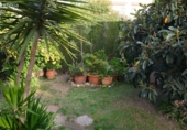 Chalet independiente con terreno en venta en Cambrils ref: TR190143 foto