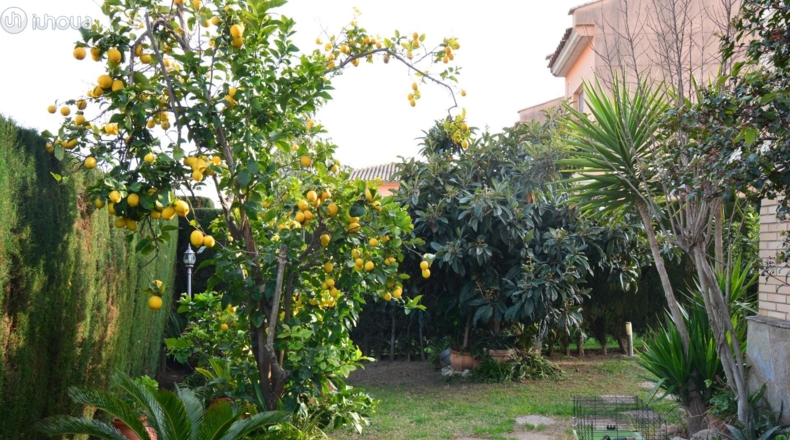 Tarragona - Cambrils - 450m2