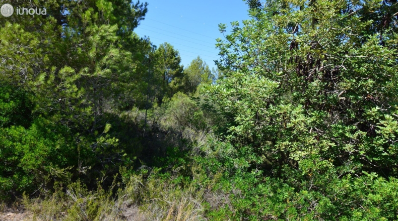 Tarragona - Reus - 6579m2