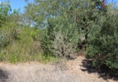 Parcel·la urbanitzable en venda a Reus ref.: TR110956 foto