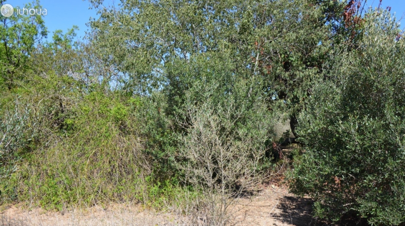 Tarragona - Reus - 6579m2