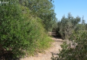 Parcel·la urbanitzable en venda a Reus ref.: TR110956 foto