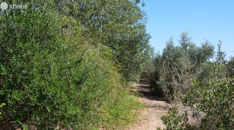 Tarragona - Reus - 6579m2
