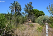 Parcel·la urbanitzable en venda a Reus ref.: TR110956 foto